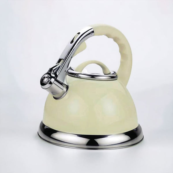 stainless steel kettle, whistling kettle, stainless steel electric kettle