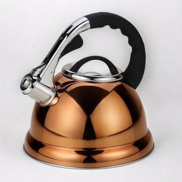 stainless steel kettle, whistling kettle, stainless steel electric kettle